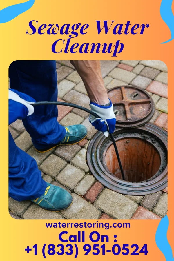 Sewage Water Cleanup in Kirvin, TX